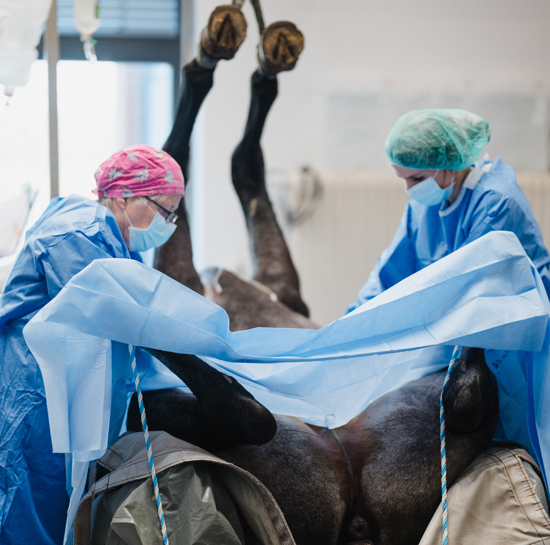 Beitragsbild Chirurgie