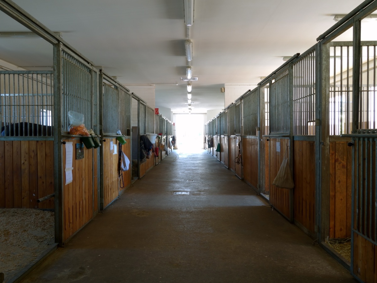 Stall Nr. 1