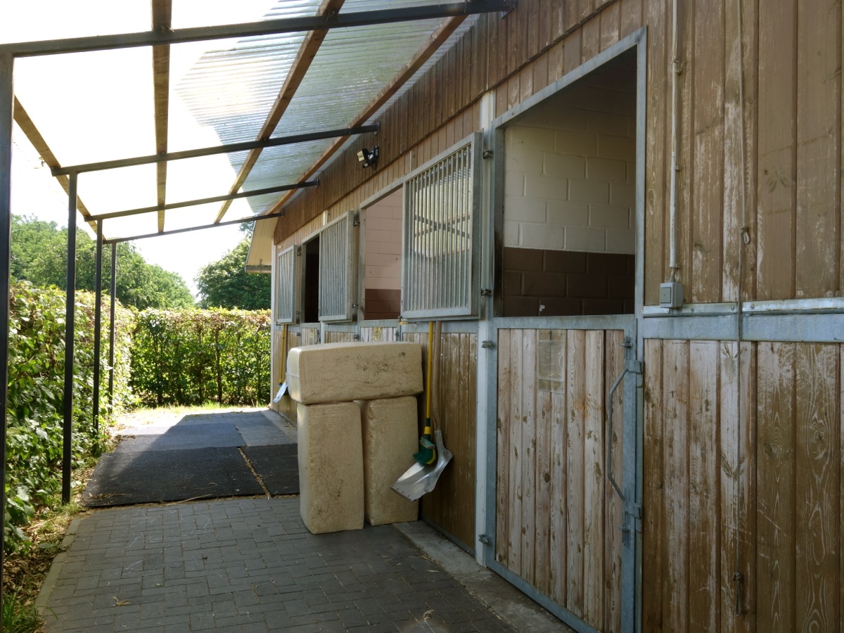 Stall für Sonderbehandlungen