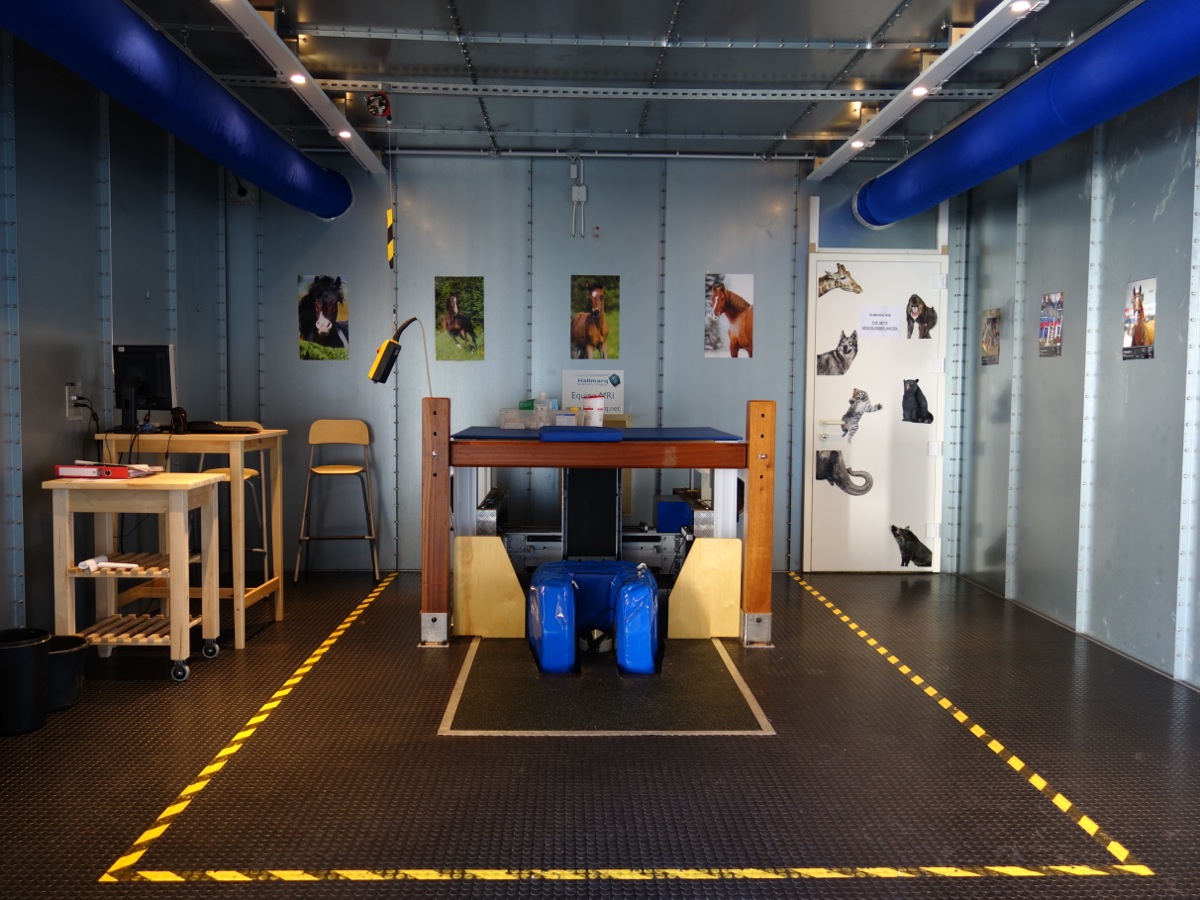 Beitragsbild Magnetresonanztomotherapie (MRT)