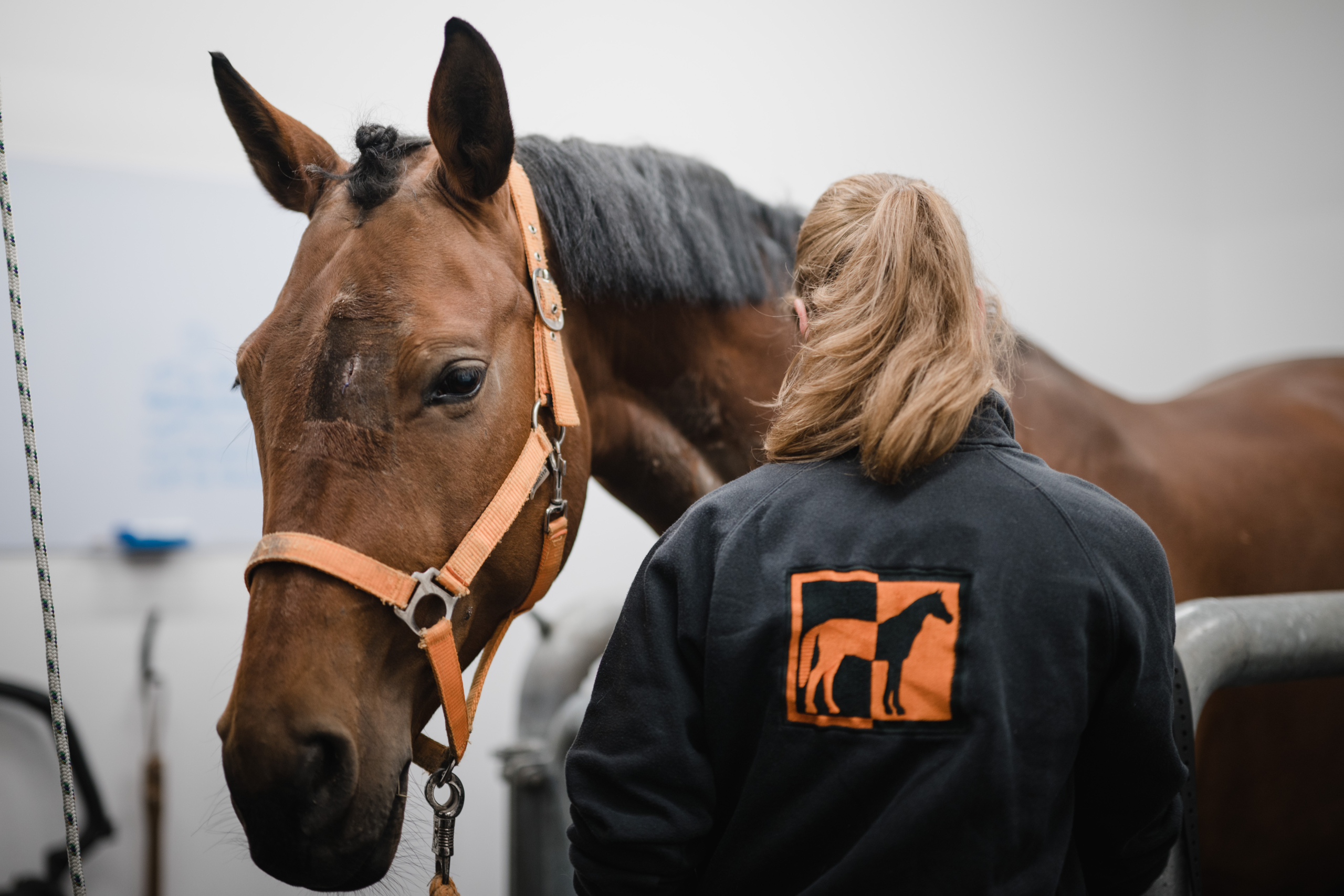 Beitragsbild Einladung zum Fortbildungsabend am 15.4.2026